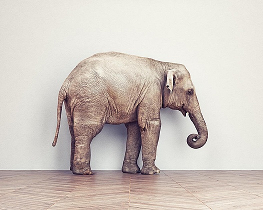 文章样式五：视频列表