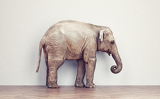 文章样式五:视频列表