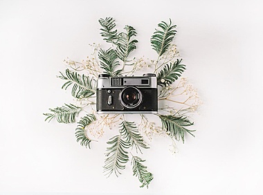 文章中插入卡片