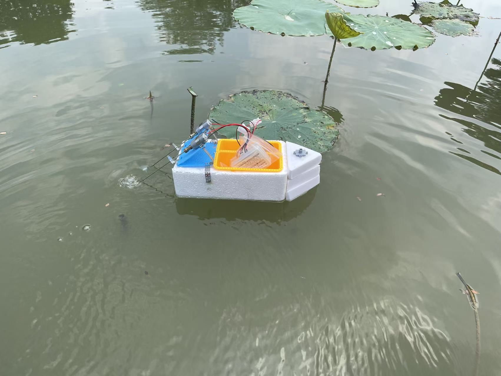 小钉锤中级遥控船下水测试-深圳光明区鹅颈水湿地公园